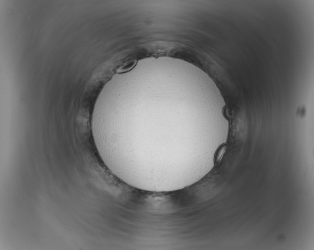 X0000115420283200911171430