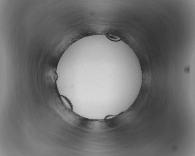 X0000115420286200911171430