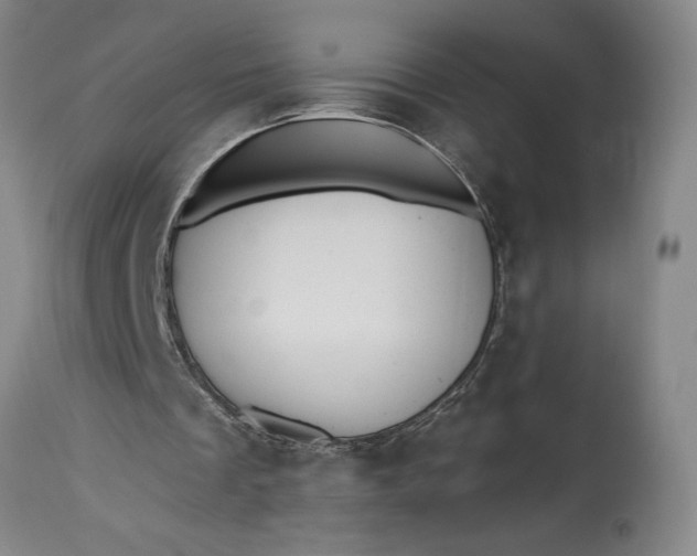 X0000115420289200911171429