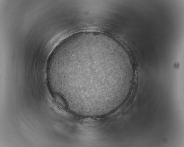 X0000115420290200911171429