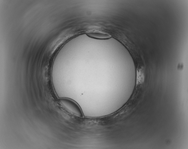 X0000115420291200911171429