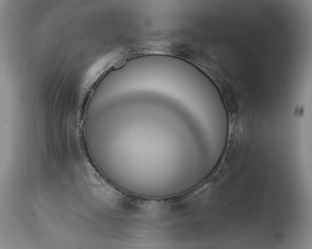 X0000115420293200911171429