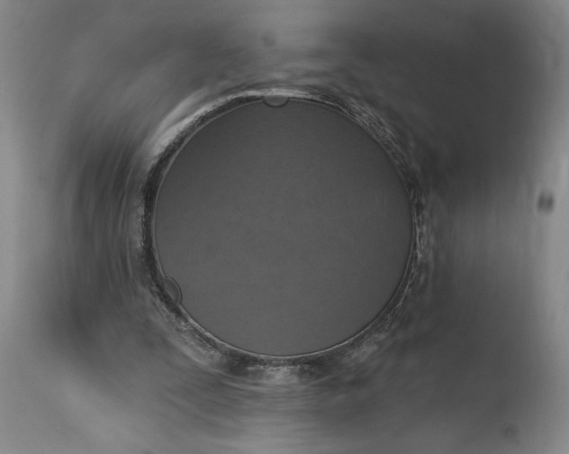 X0000115420295200911171429