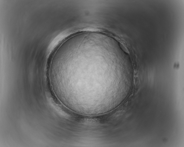 X0000115420296200911171429