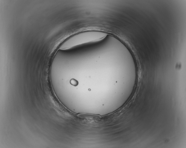 X0000115420297200911171429