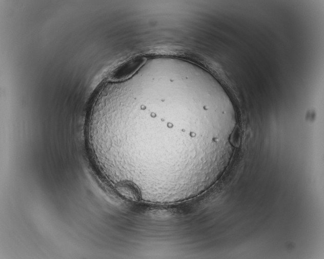 X0000115420299200911171429