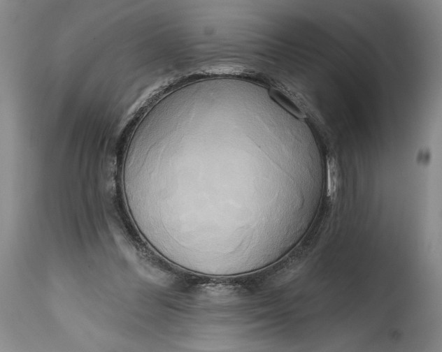 X0000115420300200911171429