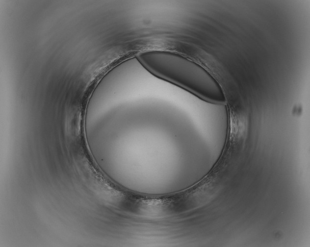 X0000115420301200911171429