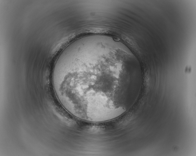 X0000115420303200911171429