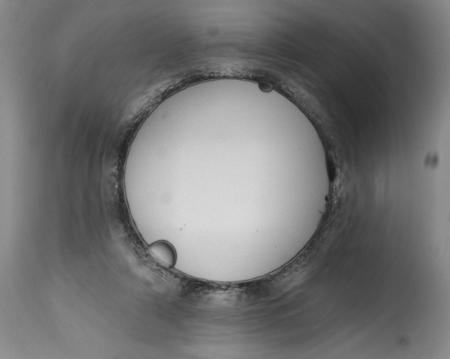 X0000115420306200911171429