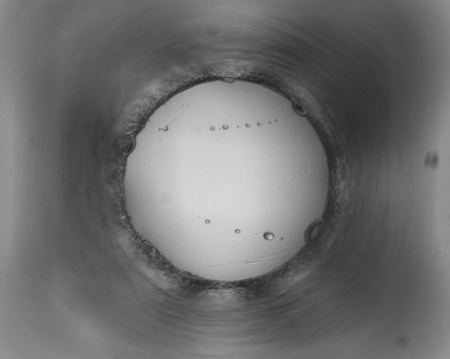 X0000115420307200911171429