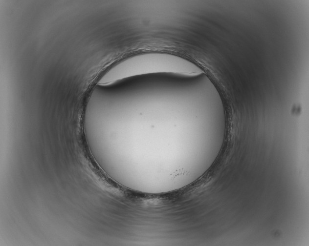 X0000115420309200911171429