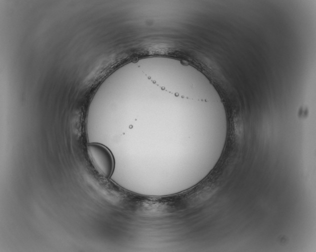 X0000115420311200911171429