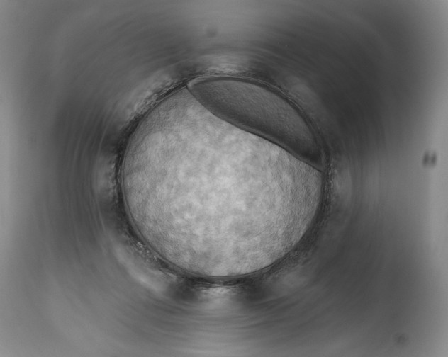 X0000115420312200911171429