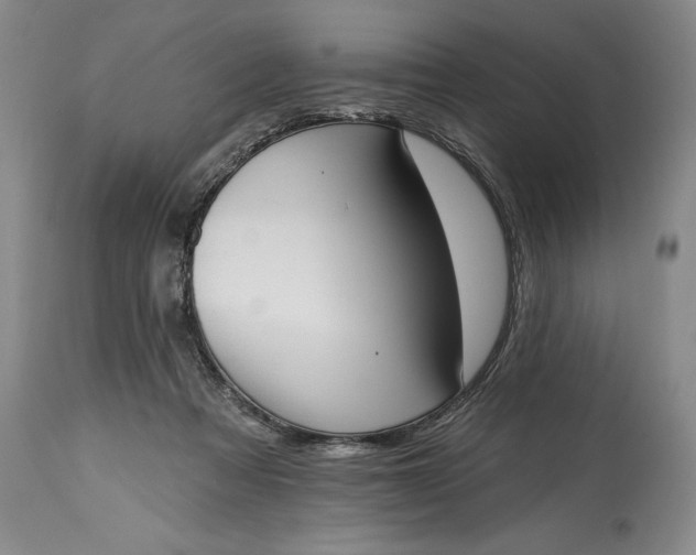 X0000115420313200911171429