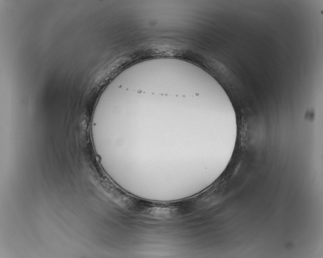 X0000115420314200911171429