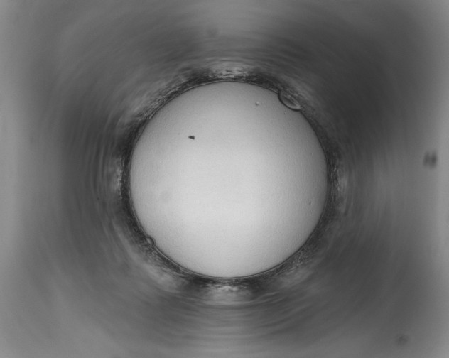 X0000115420315200911171429