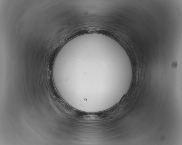 X0000115420316200911171429