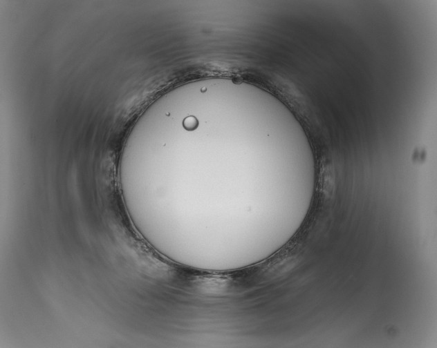 X0000115420318200911171429