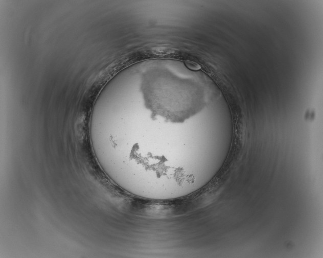 X0000115420319200911171429