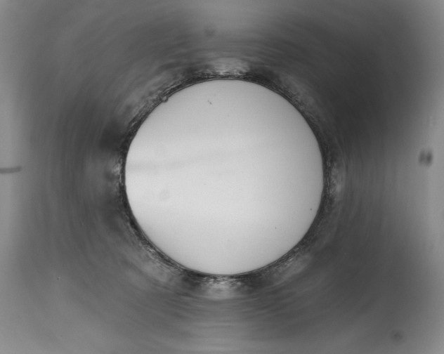 X0000115420321200911171429