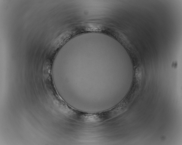 X0000115420322200911171429