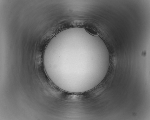 X0000115420323200911171429