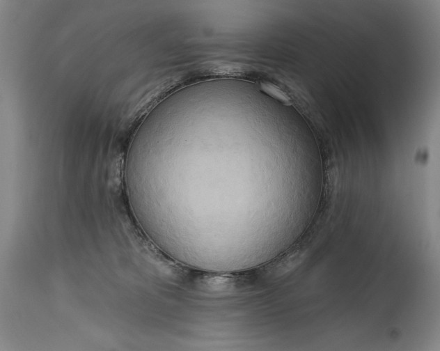 X0000115420325200911171429