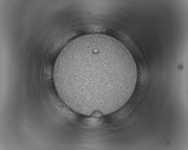 X0000115420326200911171429