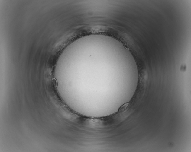 X0000115420327200911171429