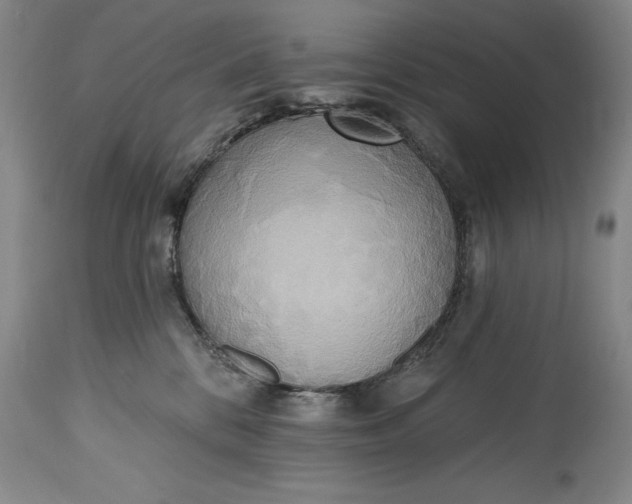 X0000115420328200911171429