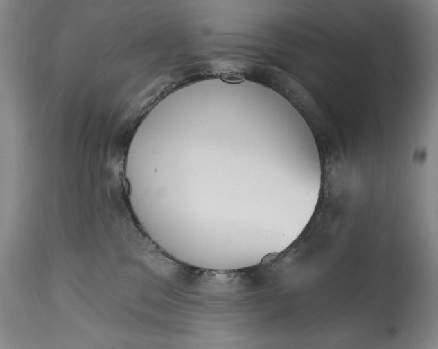 X0000115420329200911171429