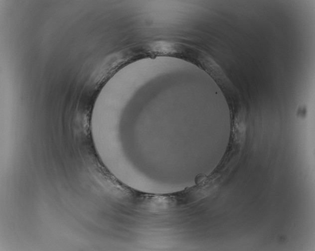 X0000115420330200911171429