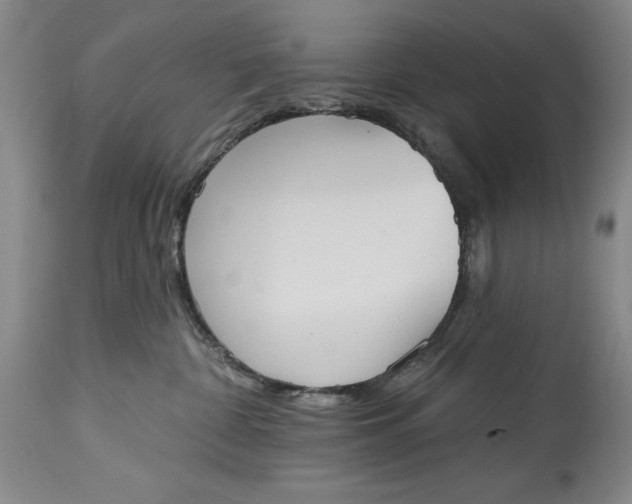 X0000115420332200911171428