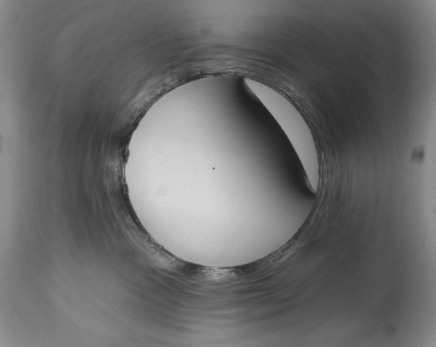 X0000115420333200911171428