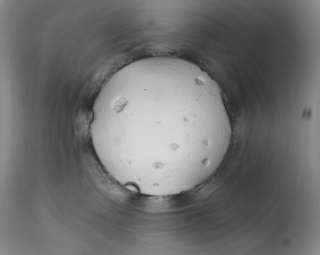 X0000115420335200911171428