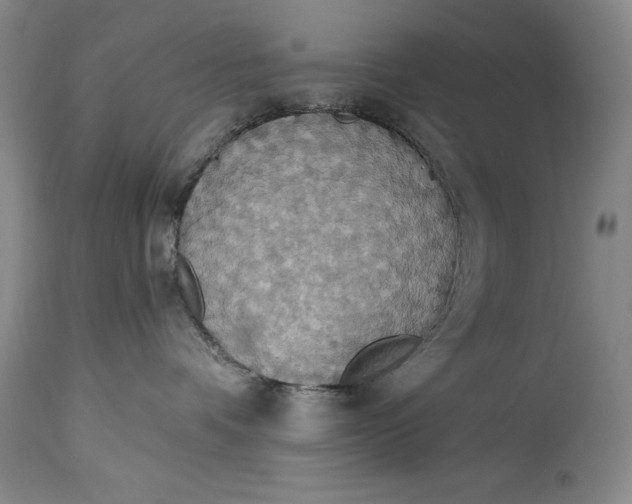 X0000115420336200911171428