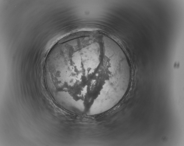 X0000115420337200911171428