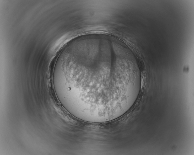 X0000115420339200911171428
