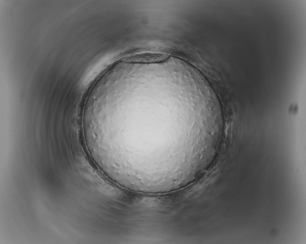 X0000115420341200911171428