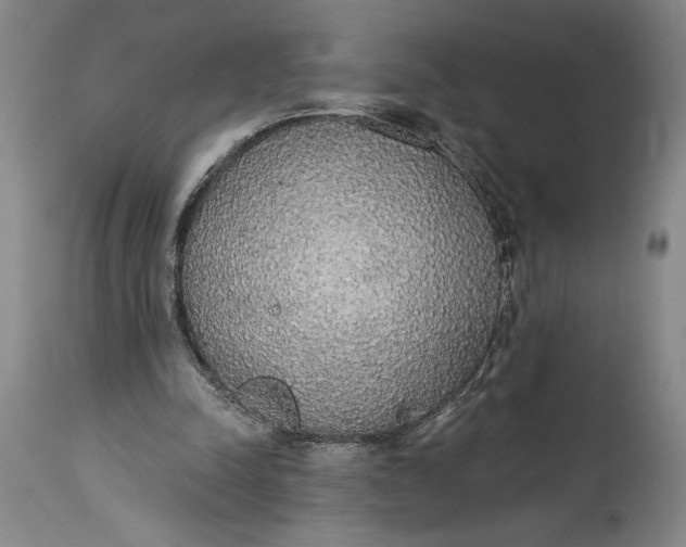 X0000115420342200911171428