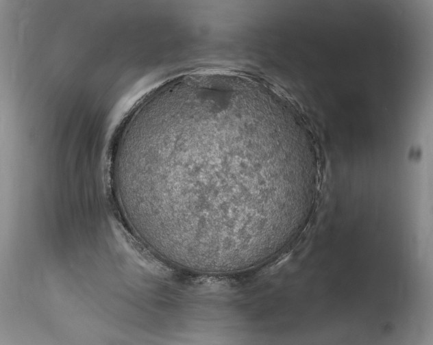 X0000115420343200911171428