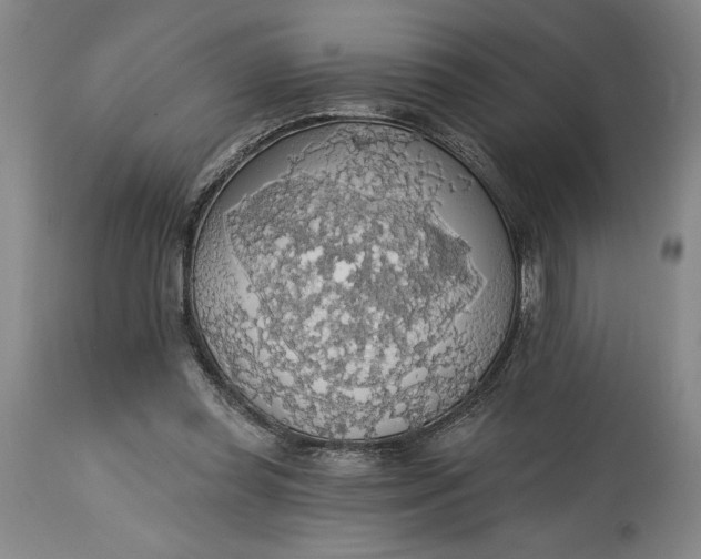 X0000115420349200911171428