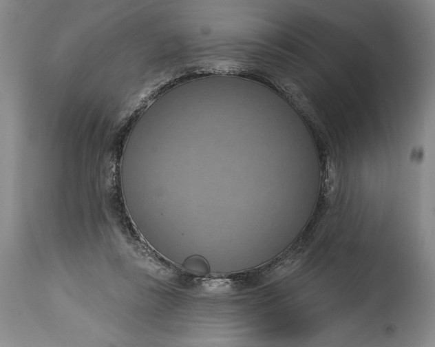 X0000115420355200911171428