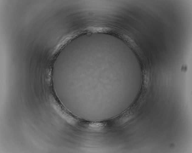 X0000115420357200911171428