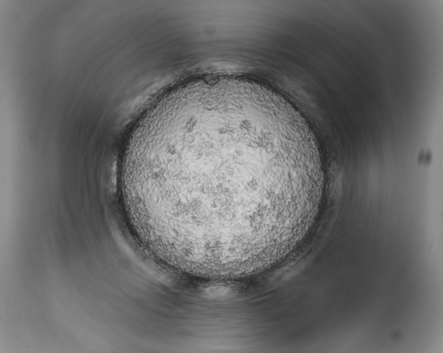 X0000115420358200911171428