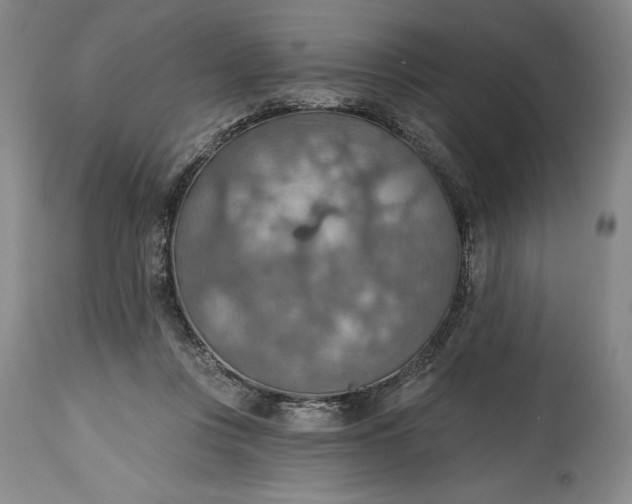 X0000115420359200911171428