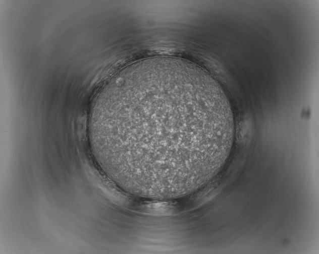 X0000115420365200911171428