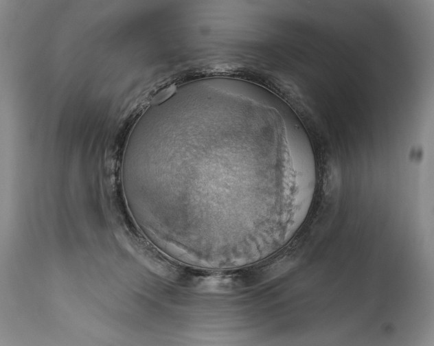 X0000115420366200911171428