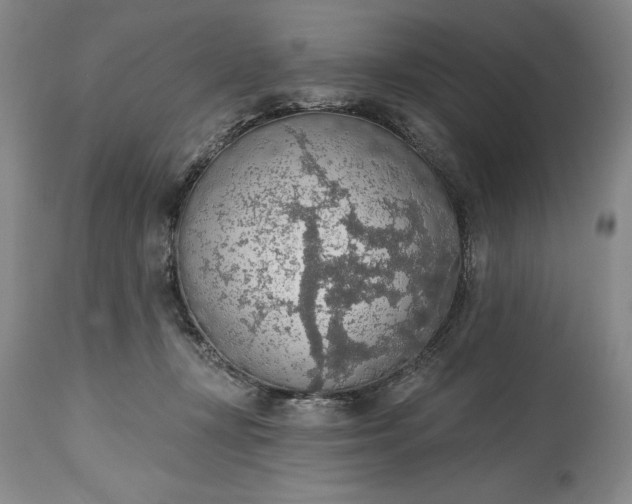 X0000115420367200911171428